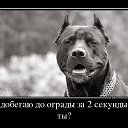 ���� ������, ����-�����������, 50 ��� - ��������� 4 ������� 2014 � ������ ������ ��������