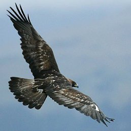 ���� �����, ������ ��������, 56 ��� - ��������� 27 �������� 2014