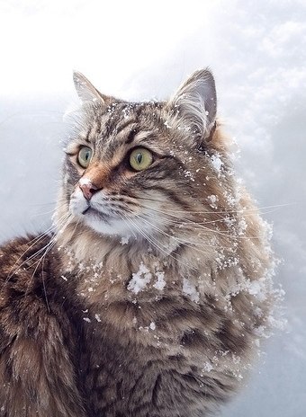       - 7  2014  22:34 - 3