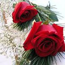 ���� Halina, ������, 56 ��� - ��������� 8 �������� 2014 � ������ ���� ����������