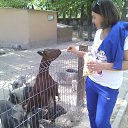 ���� �����, �����������, 37 ��� - ��������� 30 ������� 2014 � ������ ���� ����������