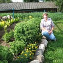 ���� �����, ��������� - ��������� 21 ������ 2014 � ������ ���� ����������