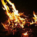 ���� ���������, ��������, 33 ���� - ��������� 18 �������� 2014 � ������ ������ ��������