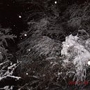 ���� ������, ������, 50 ��� - ��������� 10 ������ 2014 � ������ ����� � �����