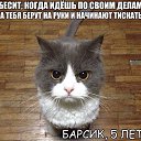 ���� ������, ������ �����, 33 ���� - ��������� 11 ������ 2014 � ������ ������ ��������