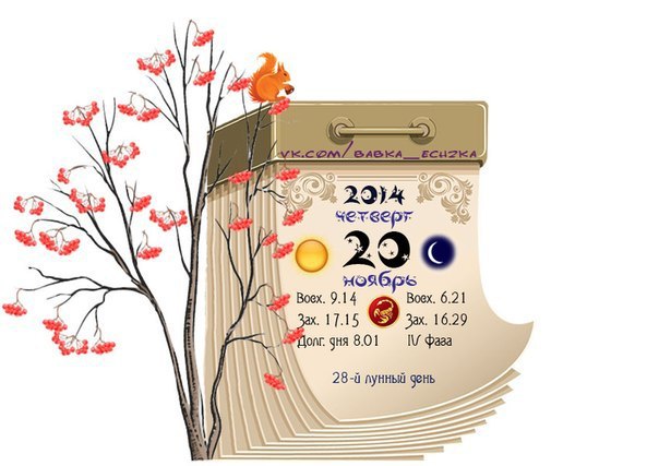  - 20  2014  11:55