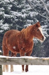 Красота - 3