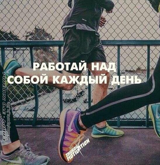  -   - 8  2014  10:28