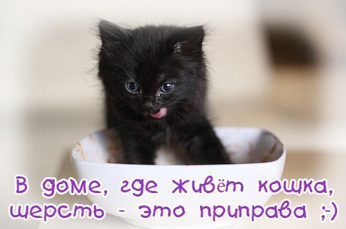       - 22  2014  19:34