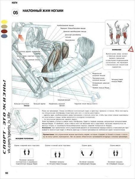 Самые эффективные упражнения для женских ног и ягодиц. #SPORT_тренировки@sports_is_life - 6