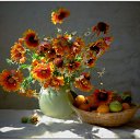 ���� �����, �������� - ��������� 23 ������ 2014 � ������ ������ ��������