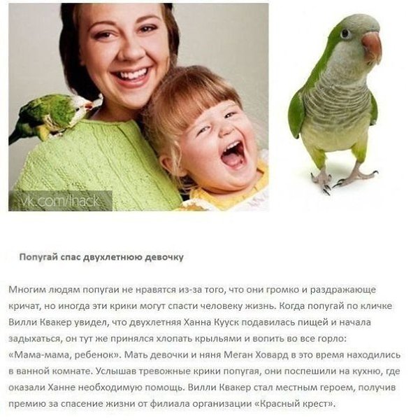   ,  - 2