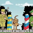 ���� Egor, ��������, 55 ��� - ��������� 6 �������� 2014 � ������ ������ ��������