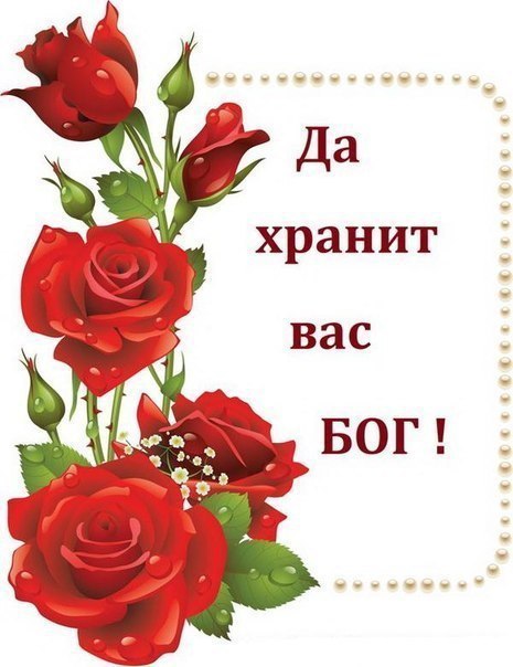  ,   , 11 ,  .  - , , , , ... - 2