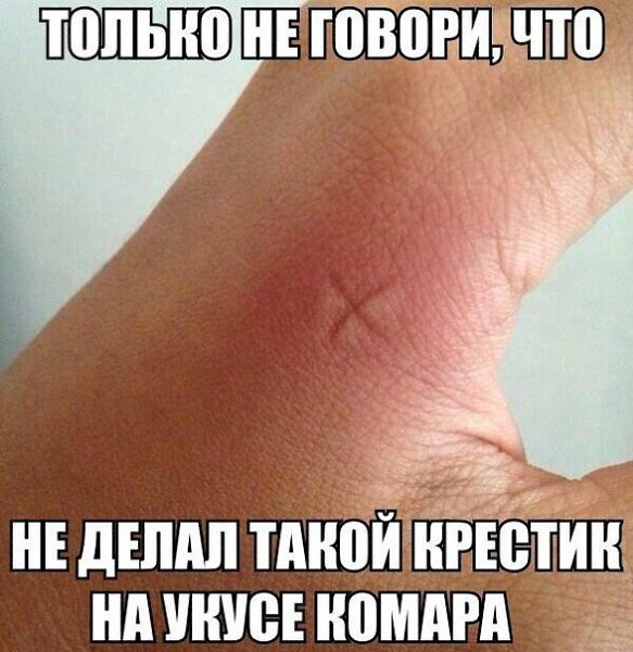 Art & Fun - 14  2014  13:33