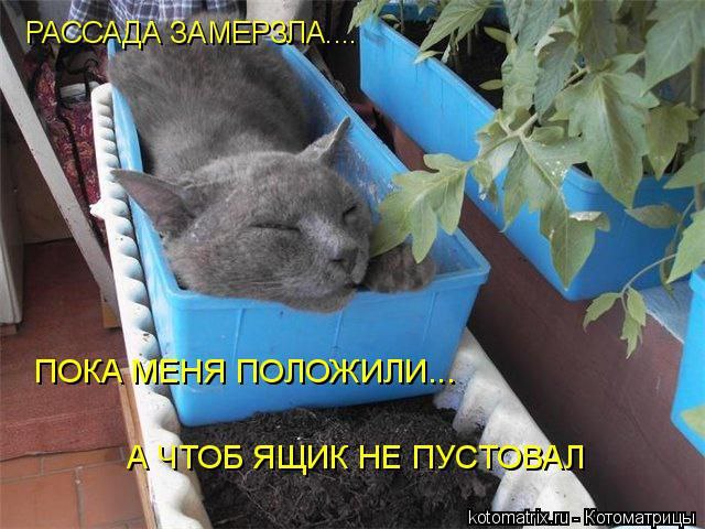  ...    ....     