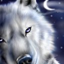  , , 24  -  22  2014   PetLove