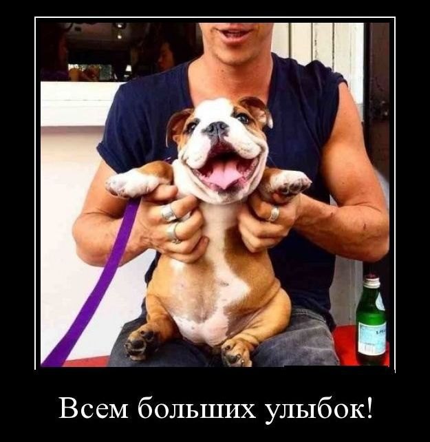 �������������� �� ���: <a href=