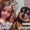 ���� ���, �������� - ��������� 25 ������ 2014 � ������ ���������