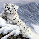  , , 24  -  22  2014   PetLove
