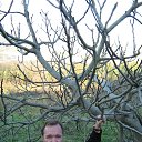 ���� ����, ��������� - ��������� 9 ������ 2014