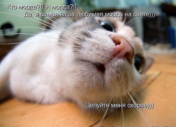 Подпишитесь, если понравилось!!! <a href=