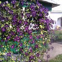 ���� �������, ������, 71 ��� - ��������� 23 �������� 2014 � ������ �������