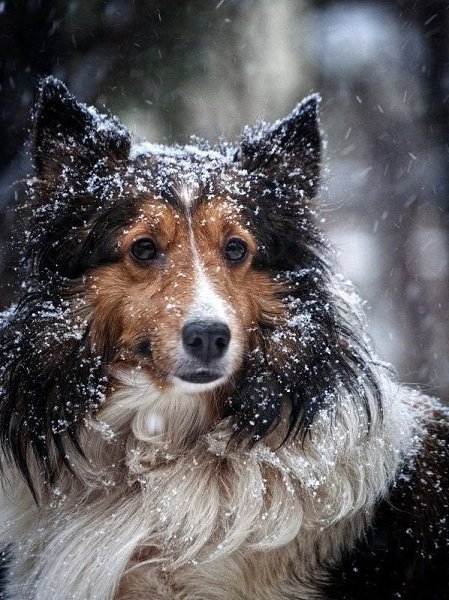 Всё нужно пережить на этом свете, Всё нужно испытать и оценить… Несчастье, боль, измену, горе, ... - 3