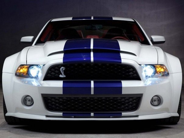 Shelby GT500  Galpin Auto Sports