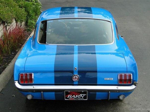 1965 Ford Mustang Shelby GT350 - 5