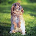 ���� �����, ������, 45 ��� - ��������� 22 ������� 2014 � ������ ������ ��������