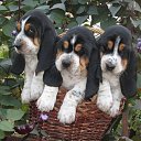 ���� ������, ������, 62 ���� - ��������� 15 ������� 2014 � ������ ������ ��������