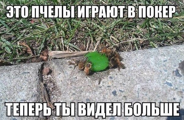  - 4  2014  20:07