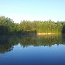 ���� Grigorii, ��������, 62 ���� - ��������� 19 �������� 2014 � ������ ���� ����������