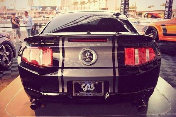 Ford Mustang Shelby GT500 - 2