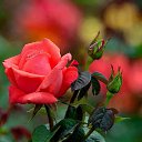 ���� Keti, �������, 54 ���� - ��������� 3 ������� 2014 � ������ ���� ������� ����!!!!�