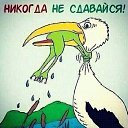 ���� ������, �������� - ��������� 9 ������� 2014 � ������ ���� ����������