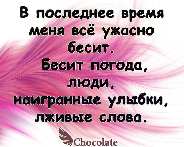 hocolate - 6  2014  17:42