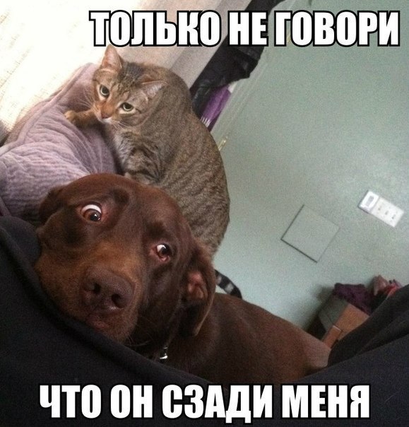  -  - 22  2014  21:12