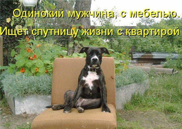 Время завтрака. Жена мужу: — Уверена, что ты забыл какой день сегодня? — Глупости, я прекрасно помню ...