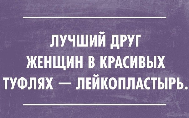  |  - 5  2014  13:16