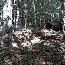 ���� _�����������_, ������ - ��������� 7 ������� 2014 � ������ ������ ��������