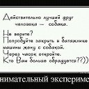 ���� ����, �����, 40 ��� - ��������� 12 ������� 2014 � ������ ������