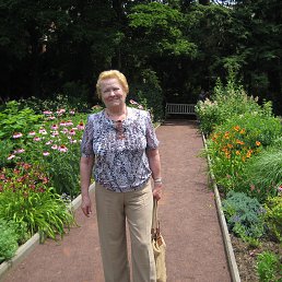 �������, �����-���������, 76 ���