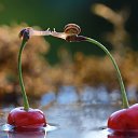 ���� � �, ����, 62 ���� - ��������� 30 ������� 2014 � ������ ���� ����������