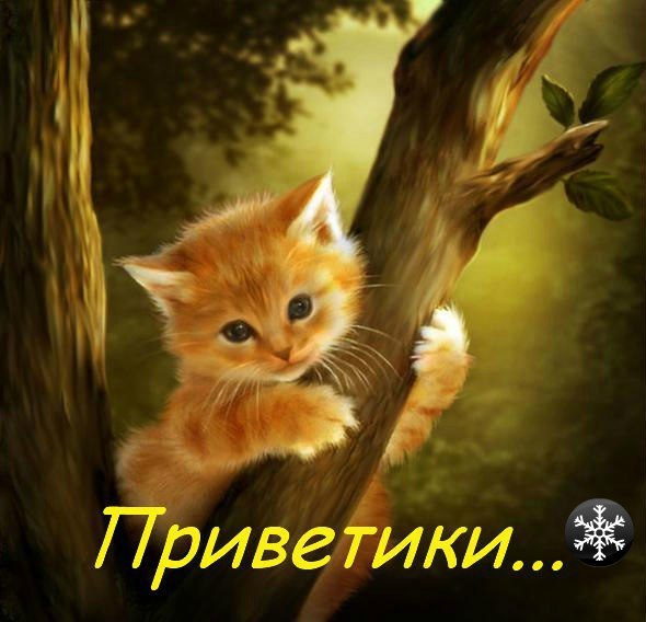 - 28  2014  21:33