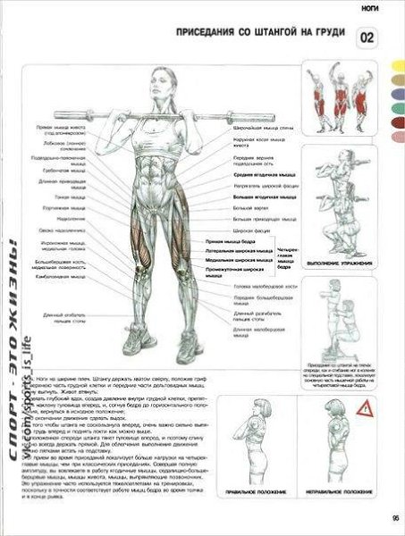 Самые эффективные упражнения для женских ног и ягодиц. #SPORT_тренировки@sports_is_life - 2