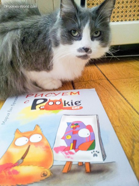 Pookie cat - 25  2014  13:17