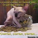���� ����������, ������, 49 ��� - ��������� 24 �������� 2014 � ������ ������ ��������