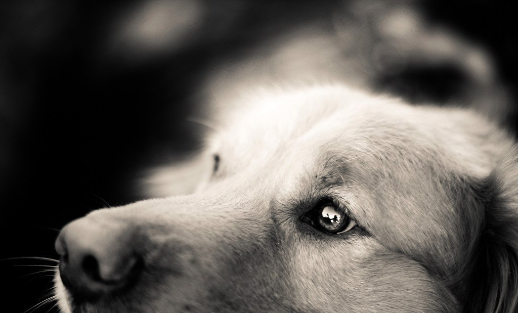       (Jessica Trinh).     ... - 2
